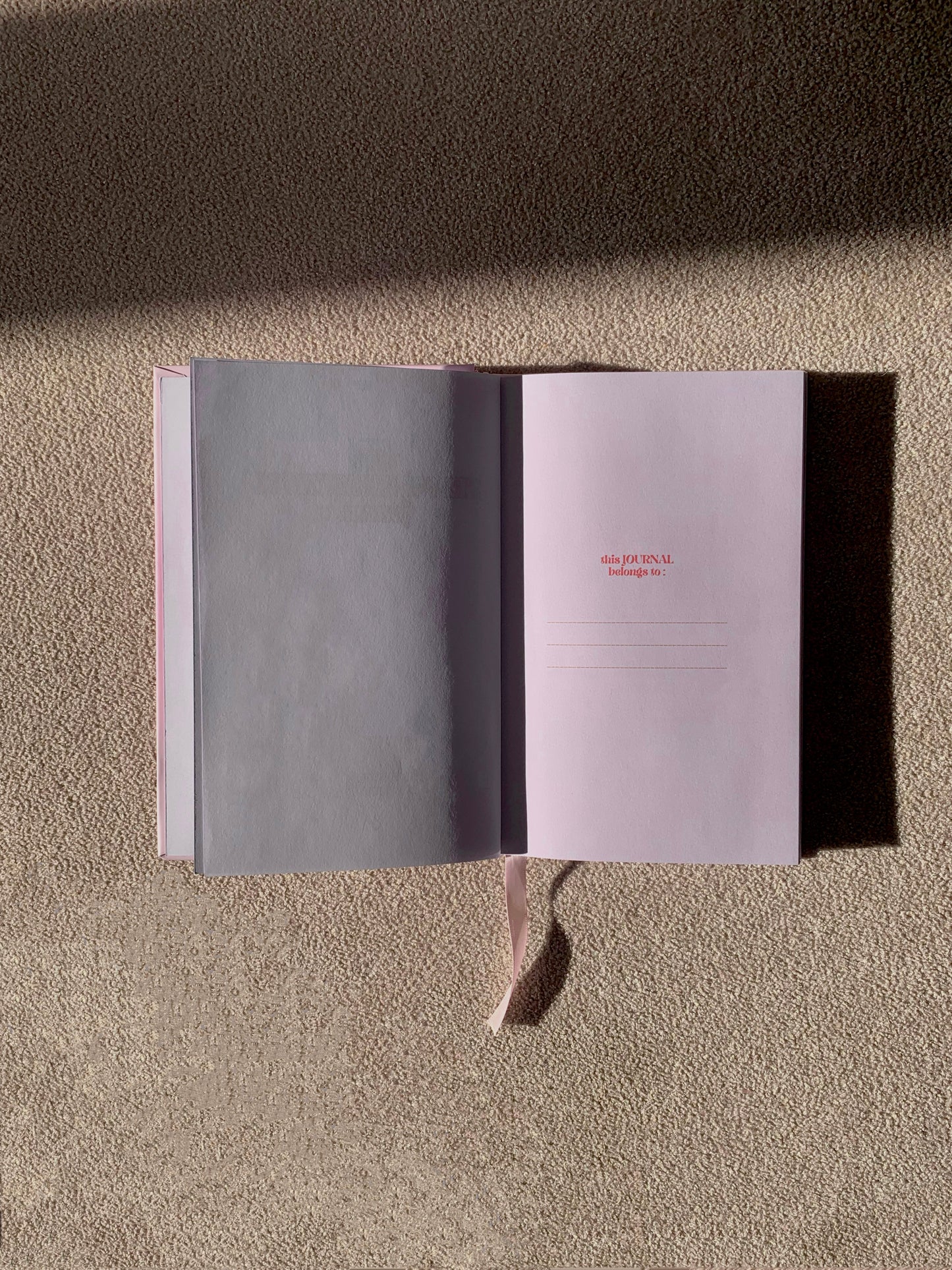 the self-reflection journal